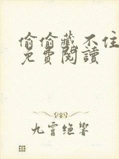 偷偷藏不住小说免费阅读