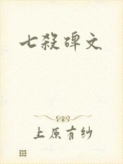 七杀碑文封面