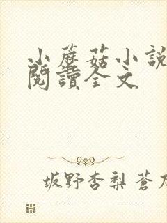 小蘑菇小说免费阅读全文