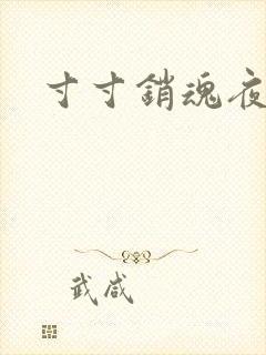 寸寸销魂夜春光