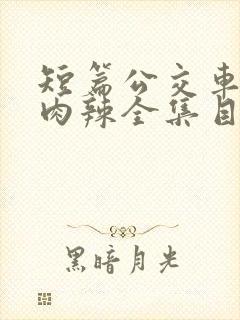 短篇公交车高h肉辣全集目录