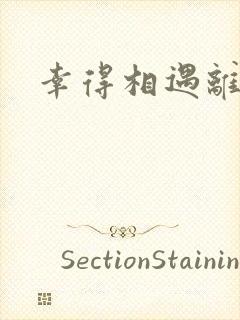 幸得相遇离婚时