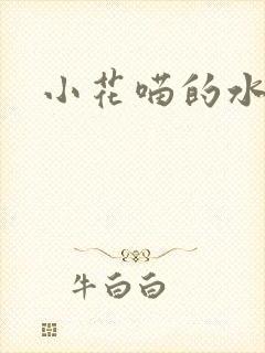 小花喵的水蜜桃封面