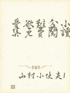 爱欲难分小说全集免费阅读