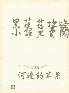 黑莲花攻略手册小说免费阅读