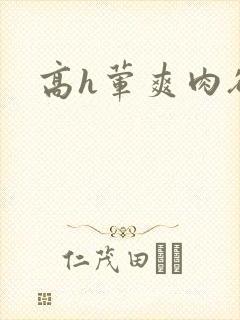 高h荤爽肉欲文