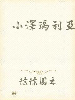 小泽玛利亚作品封面