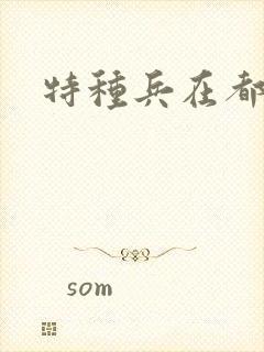 特种兵在都市封面