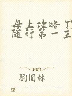 母上攻略 竹影随行第一主板封面