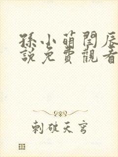 孙小萌闫辰的小说免费观看封面