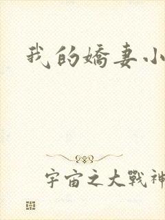 我的娇妻小说封面