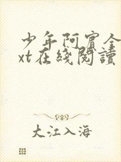 少年阿宾全文txt在线阅读