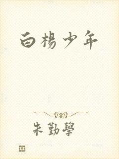 白杨少年