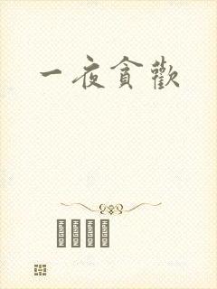 一夜贪欢封面