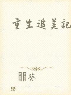 重生追美记2封面