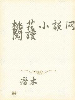 桃花小说网小说阅读