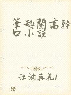 笔趣阁高干文入口小说