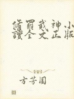 修罗武神小说阅读全文正版封面