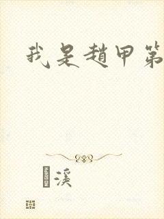 我是赵甲第小说封面