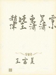 赵晓东吴雪晴郑伟王潇潇小说