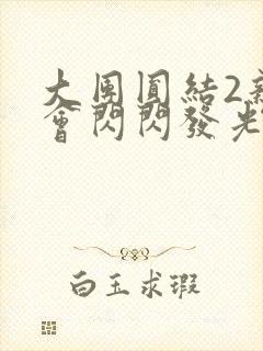 大团圆结2亲情会闪闪发光亲情会2