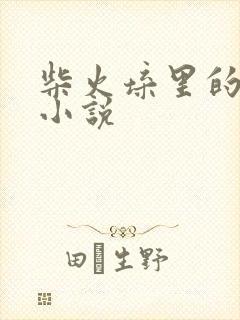 柴火垛里的疯狂小说封面