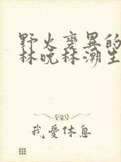 野火变异的父爱林晚林潮生封面