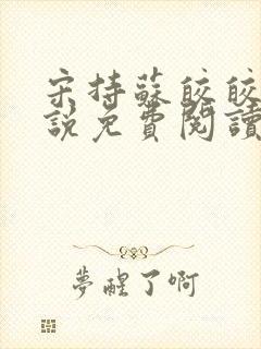 宋持苏皎皎的小说免费阅读封面