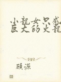 小龙女只感觉那巨大的火龙枪