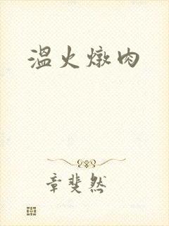 温火炖肉