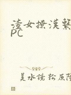 渣女撩汉系统NPC