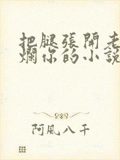 把腿张开老子臊烂你的小说