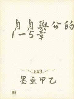 月月与公的激情1一5章
