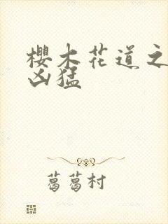 樱木花道之重生凶猛