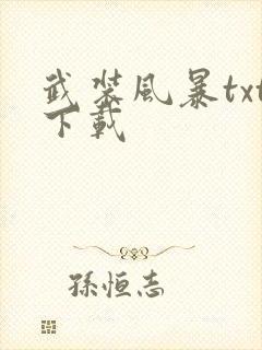 武装风暴txt下载