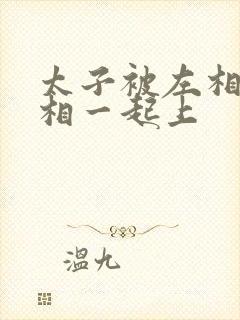 太子被左相和右相一起上