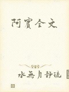 阿宾全文