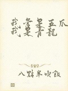 我爹是五爪金龙我是青龙