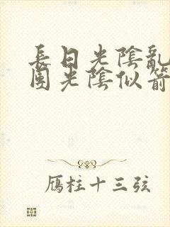 长日光阴乱作一团光阴似箭教主封面