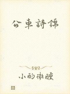 公车诗锦封面