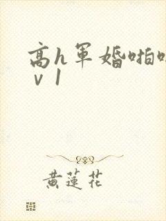 高h军婚啪啪1ⅴ1