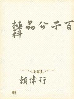 极品公子百度百科