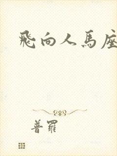 飞向人马座封面
