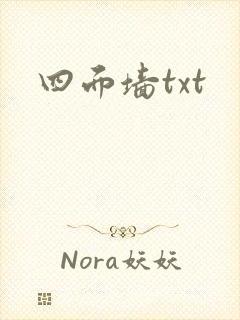 四面墙txt