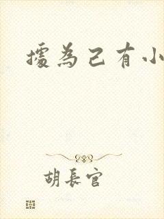 据为己有小说封面