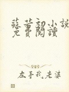 苏若初小说全文免费阅读