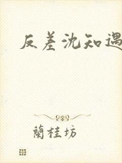 反差沈知遇晏应