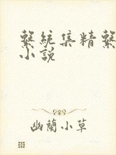 系统集精系统 小说