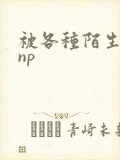 被各种陌生人 np