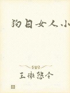狗日女人小说